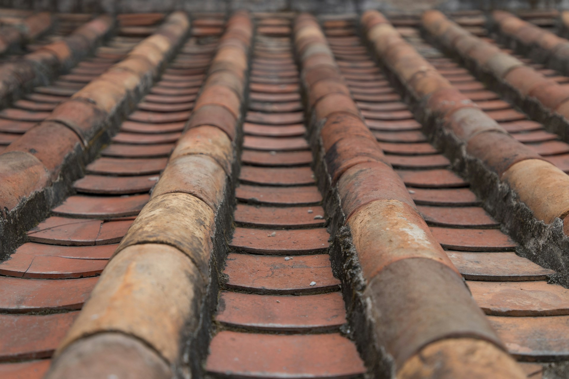 Dakreparatie Roosendaal