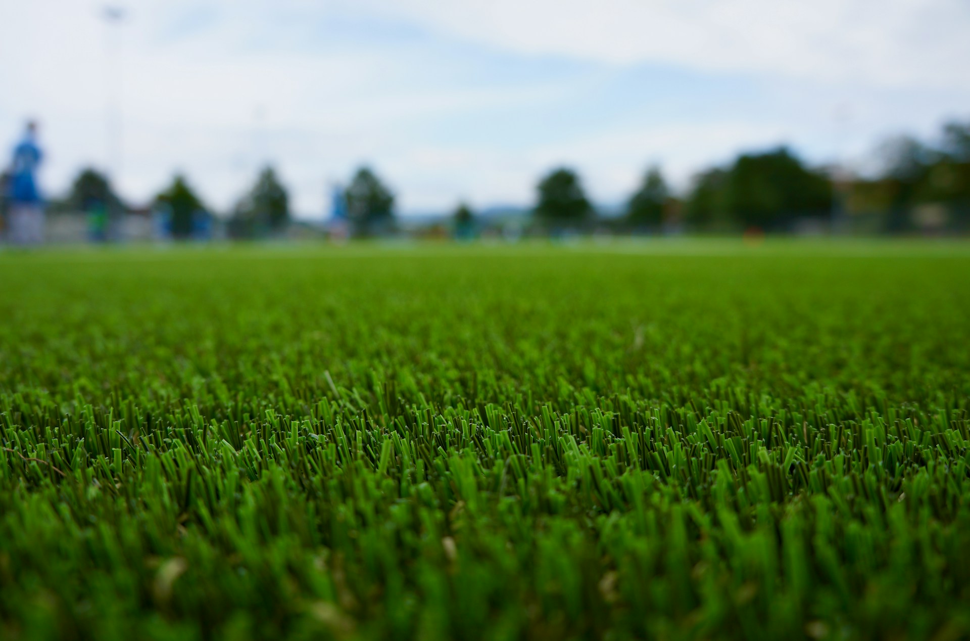 kunstgras bestellen