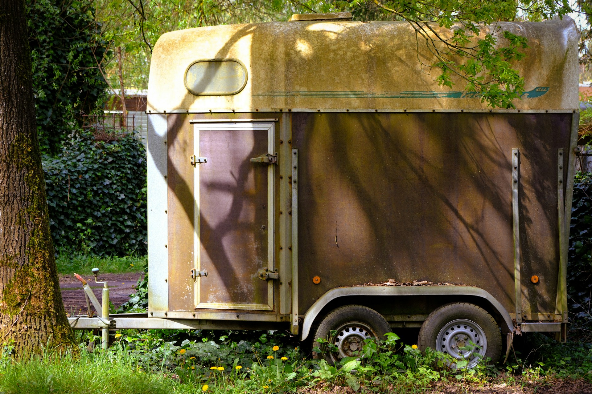 saris bagagewagen