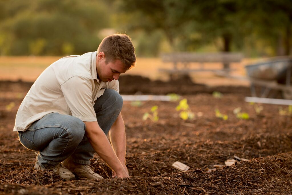 compost compost